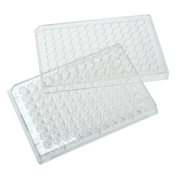 12 Well Tissue Culture Plate with Lid, Sterile G464713
