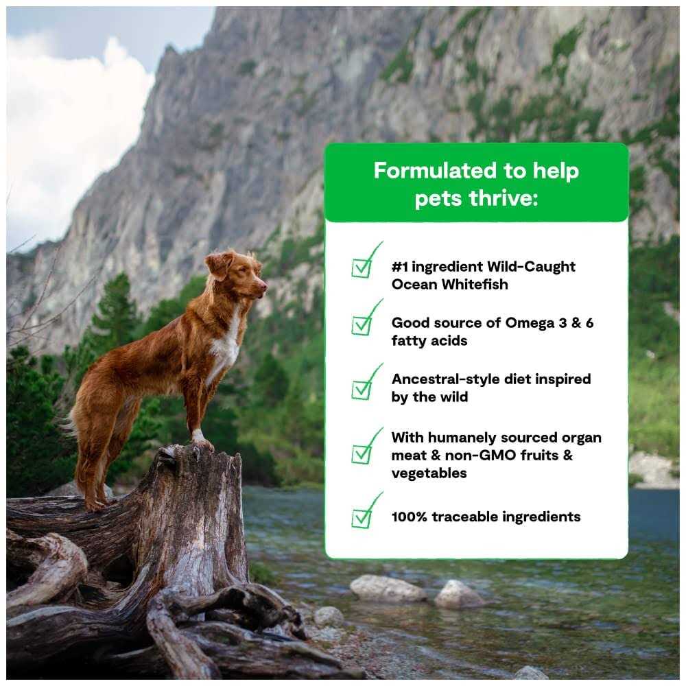 Grain-Free Dog Food B120