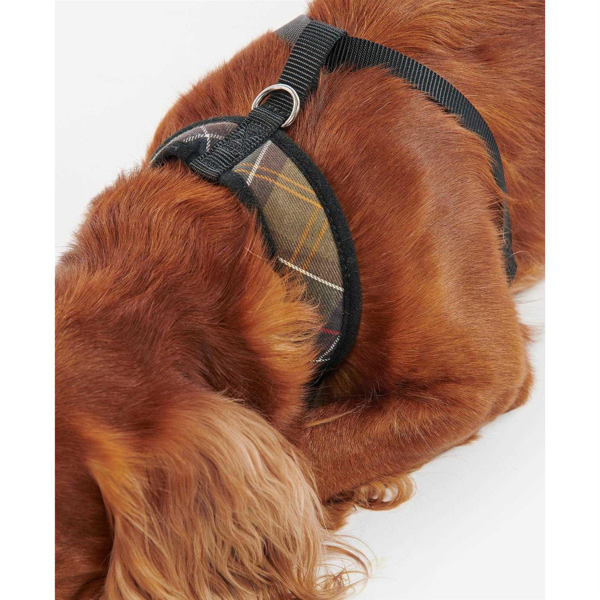 Tartan Dog Harness K3034