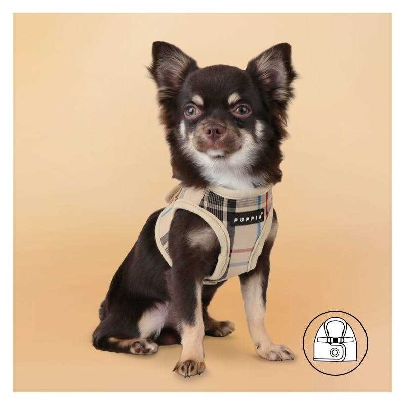 Pet Harness Q387409