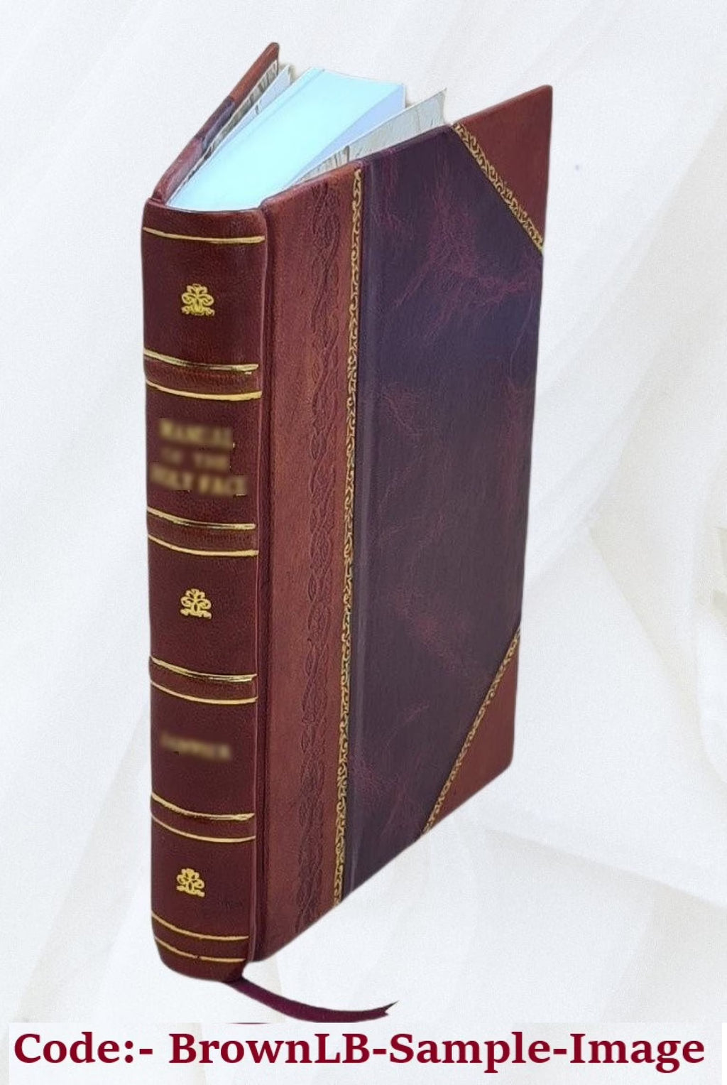 Germany, the next republic? By Carl W. Ackerman. 1917 [Leather Bound] Q97953