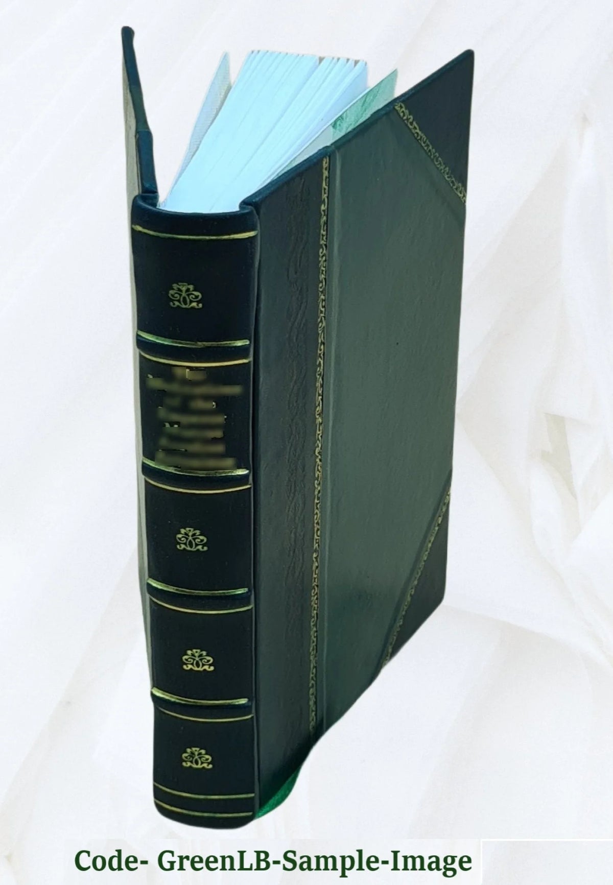 Germany, the next republic? By Carl W. Ackerman. 1917 [Leather Bound] Q97953