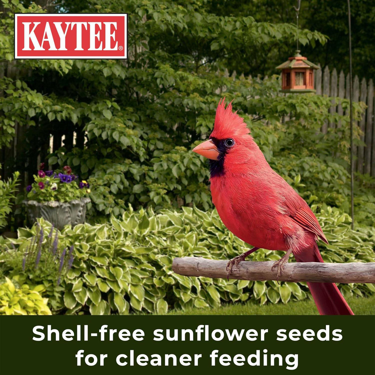Nut & Fruit Blend Wild Bird Food P38118