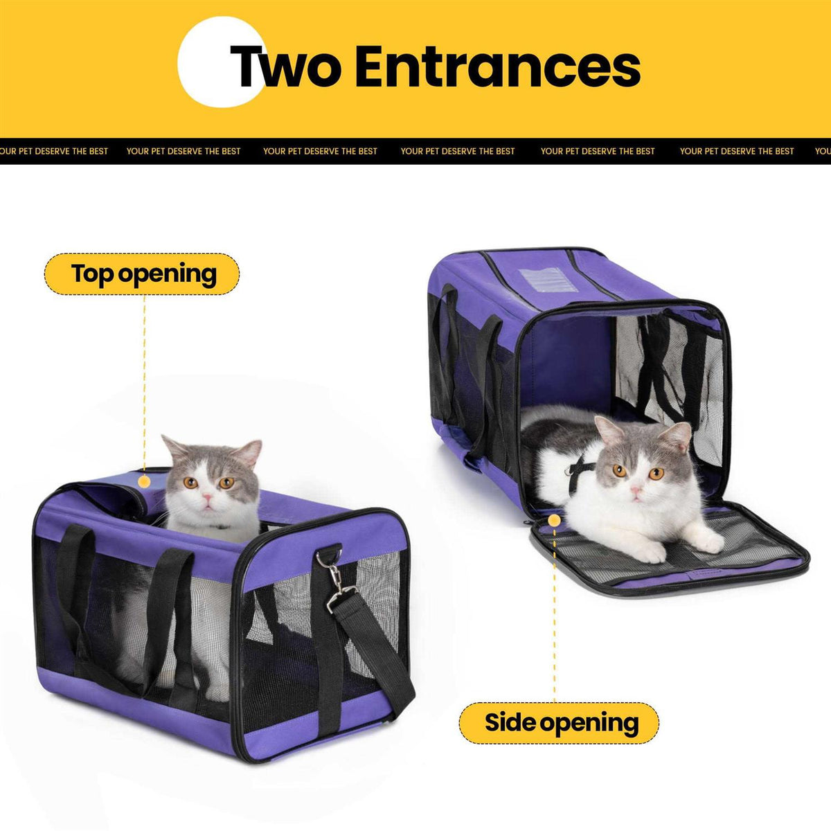 Soft-Sided Cat Carrier with Inner Safety Leash V431