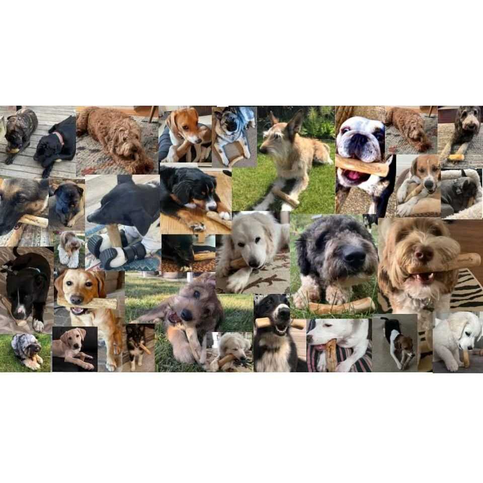 Dog Chew Toys Coffee Wood D4689
