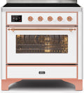 White Induction Range with Electric Oven L7966