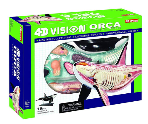 12.5 inch 4D Orca Anatomy Model with 16 Detachable Parts Z228