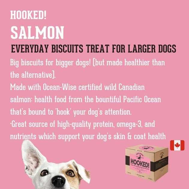 Salmon Flavored Dog Treats L3781
