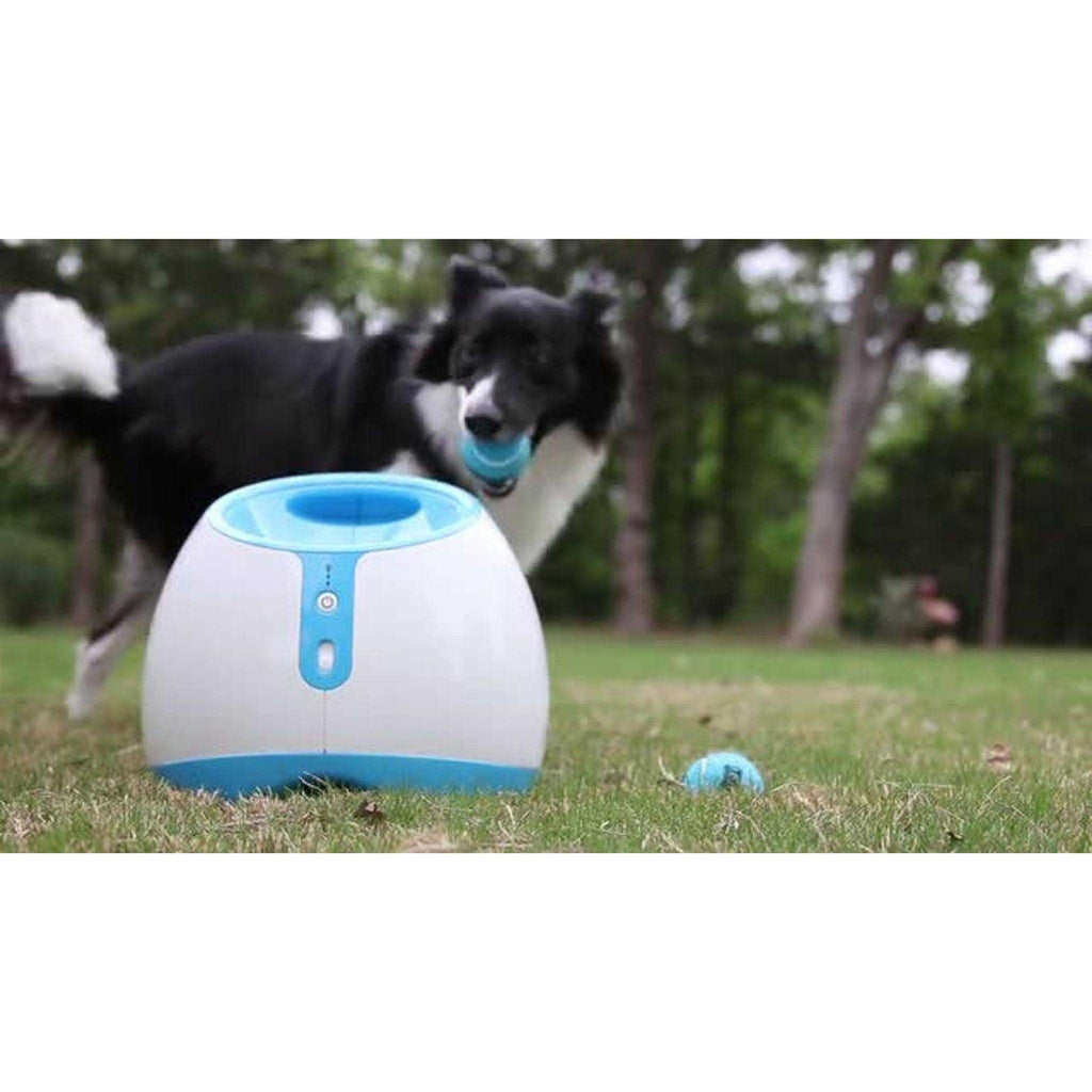 Interactive Ball Launcher Dog Toy F1907
