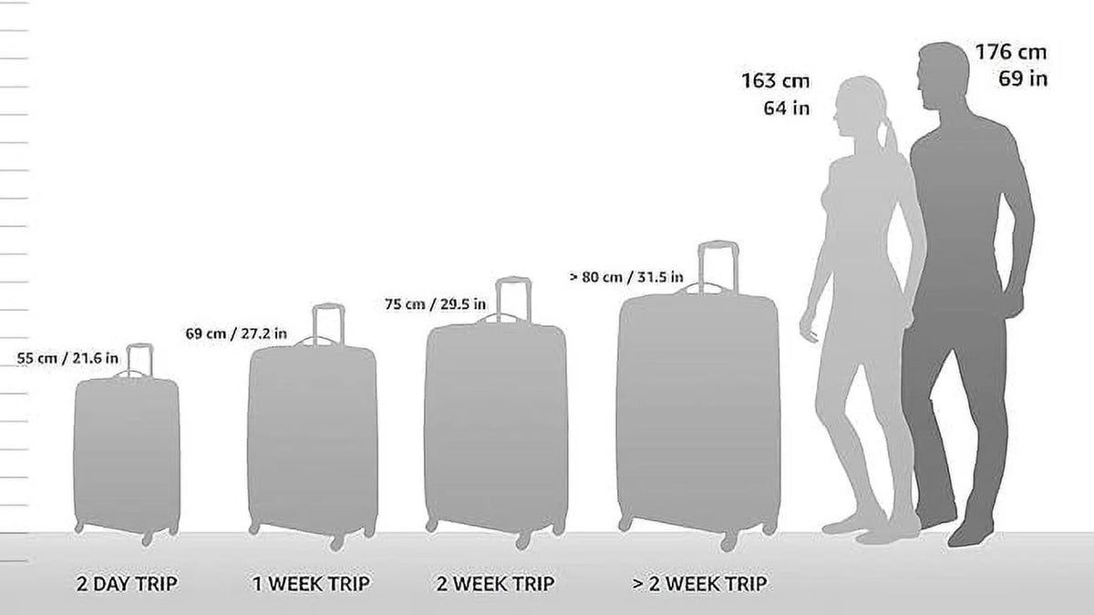Polycarbonate Hardside 8 Spinner Wheels Carry-on 22-Inch Luggage U28581