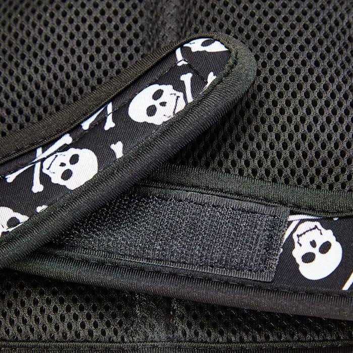 Cat Harness & Leash Set Q68371