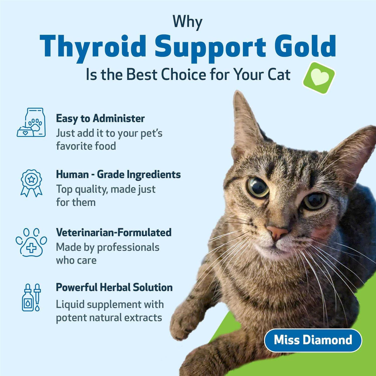 Thyroid Support for Cats R644