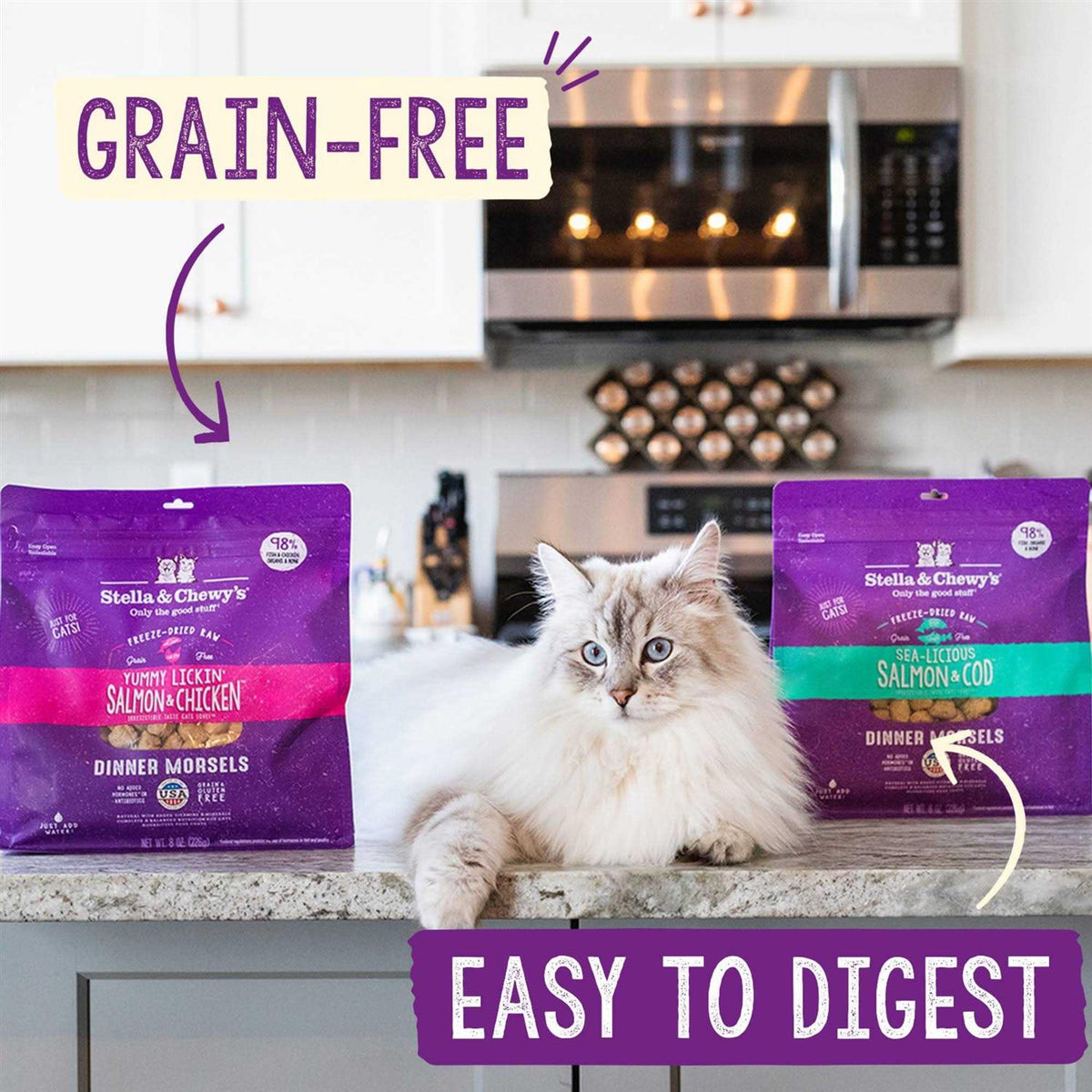 Freeze-Dried Cat Dinner Z5909