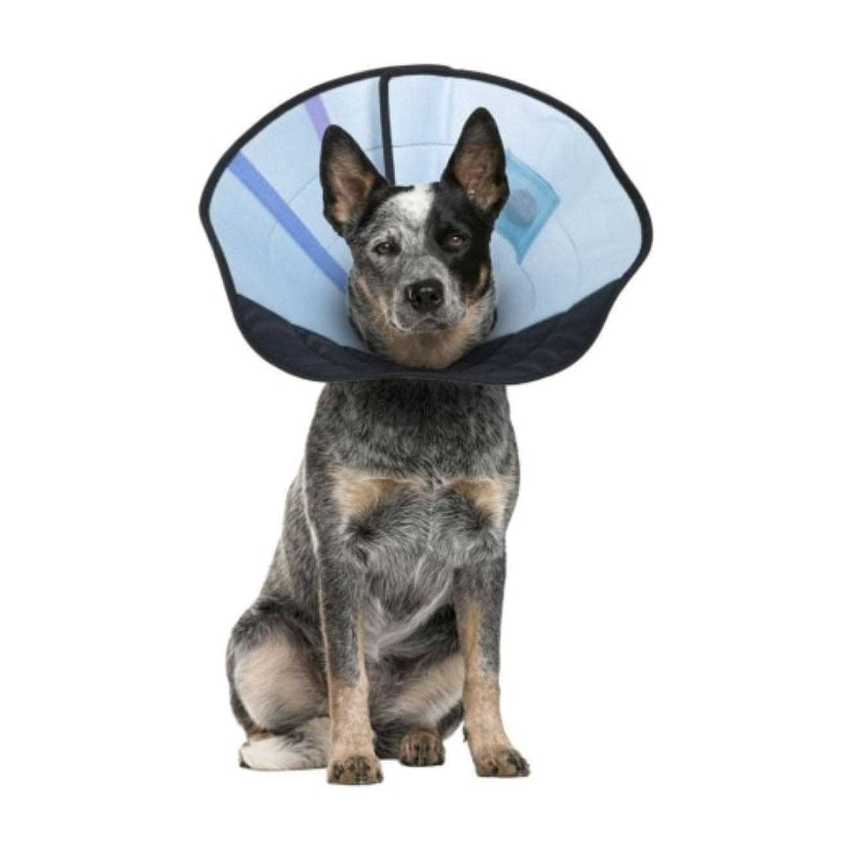 Dog Calming Collar J448441