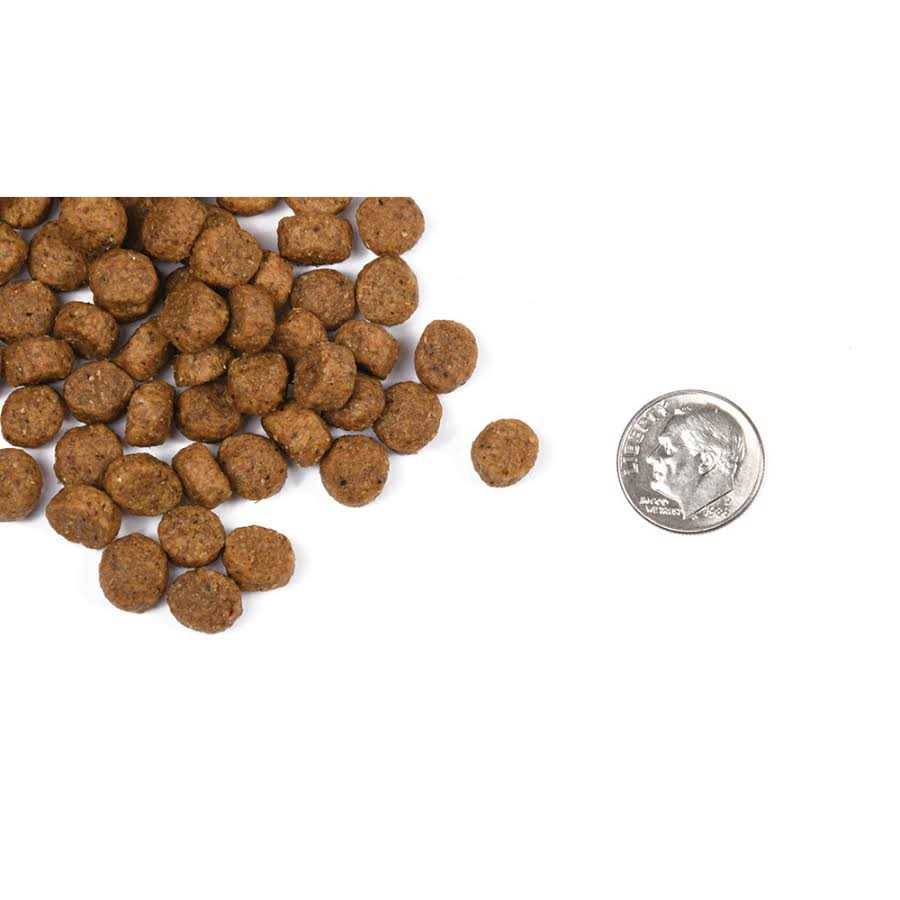 Classic Puppy Dog Food F458