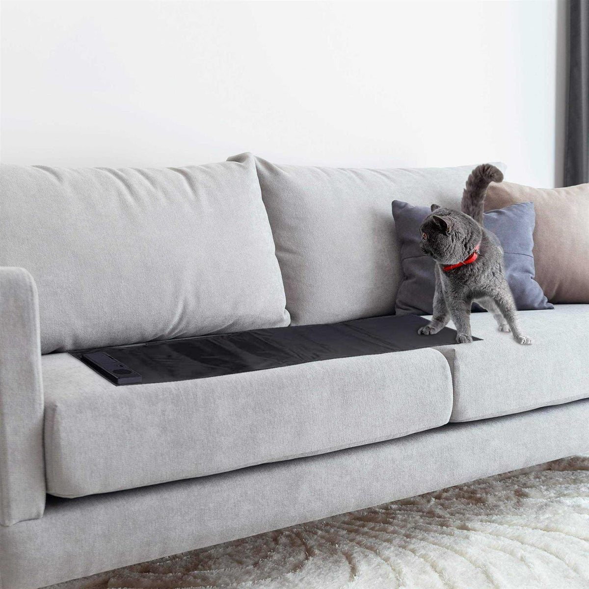 Pet Sofa Y5925