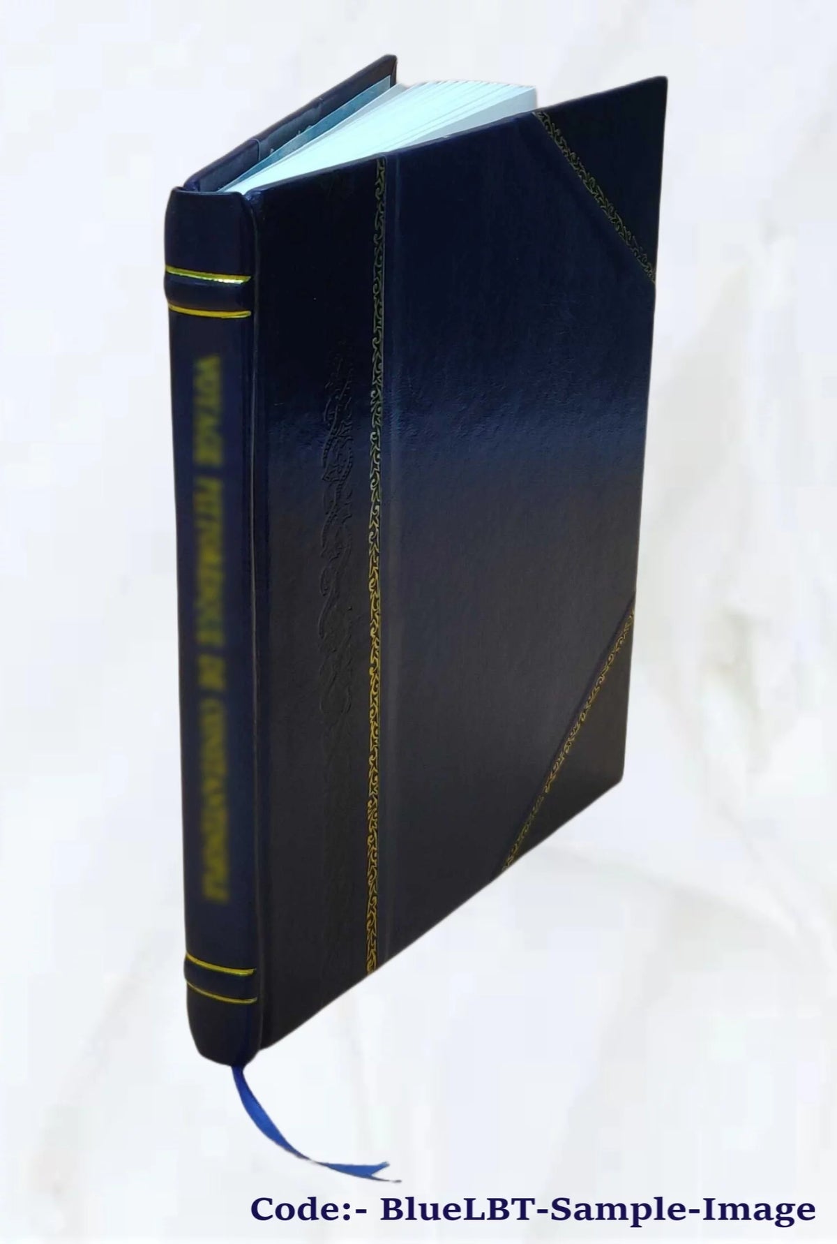 1919 Seed Catalogue Leather Bound E660065