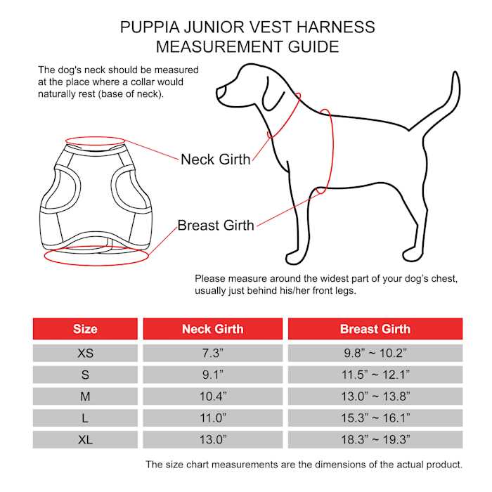 Pet Harness Q387409