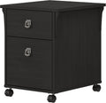 Vintage Black 2 Drawer Mobile File Cabinet R464