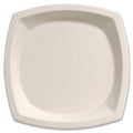 Ivory 10" Plates 125 pack F7071