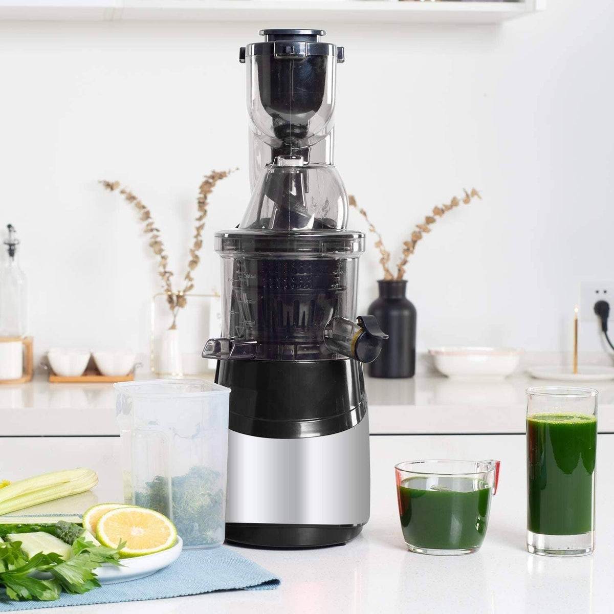 Red Slow Masticating Juicer with Wide Chute Q7422
