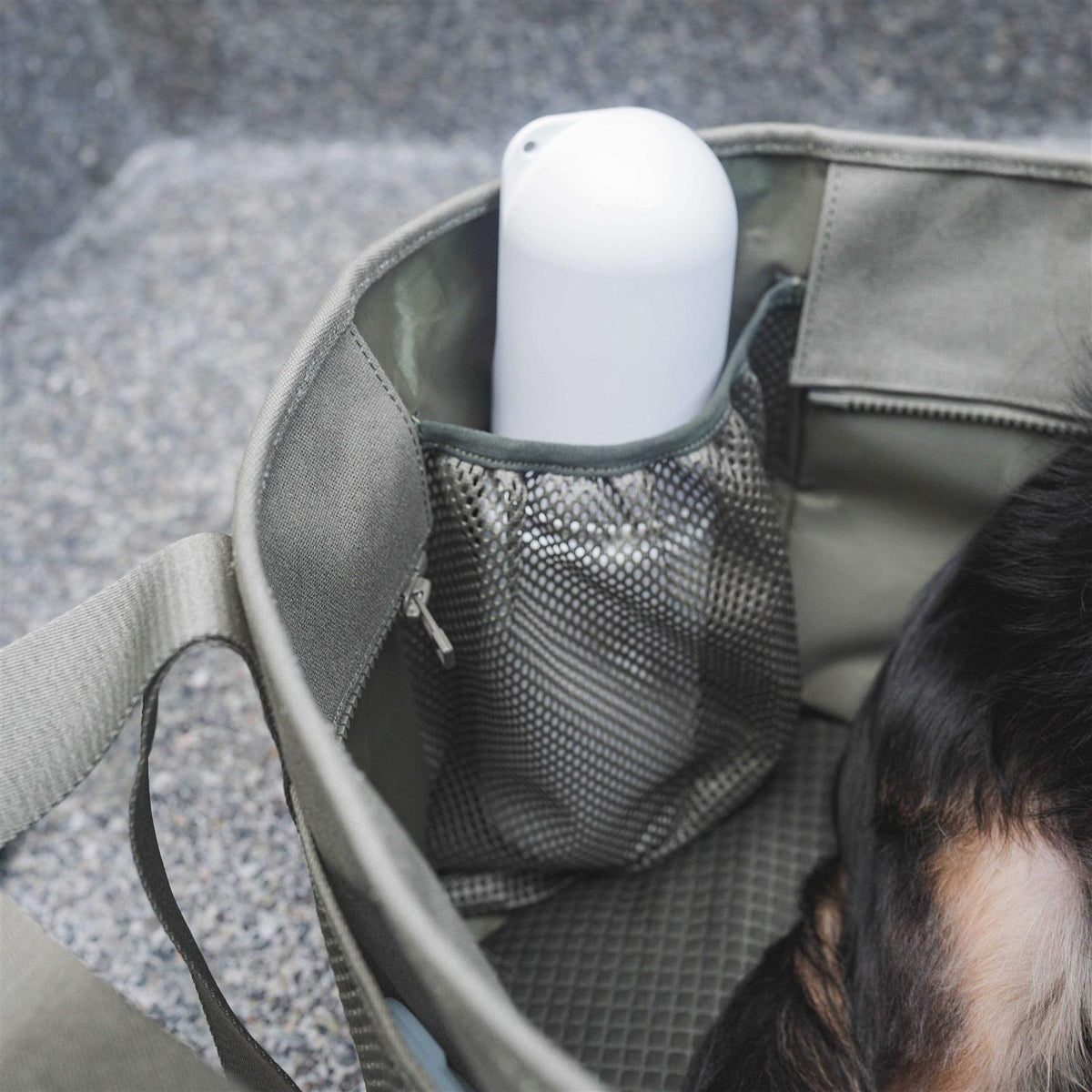 Canvas Lightweight Water Resistant Pet Carrier L943