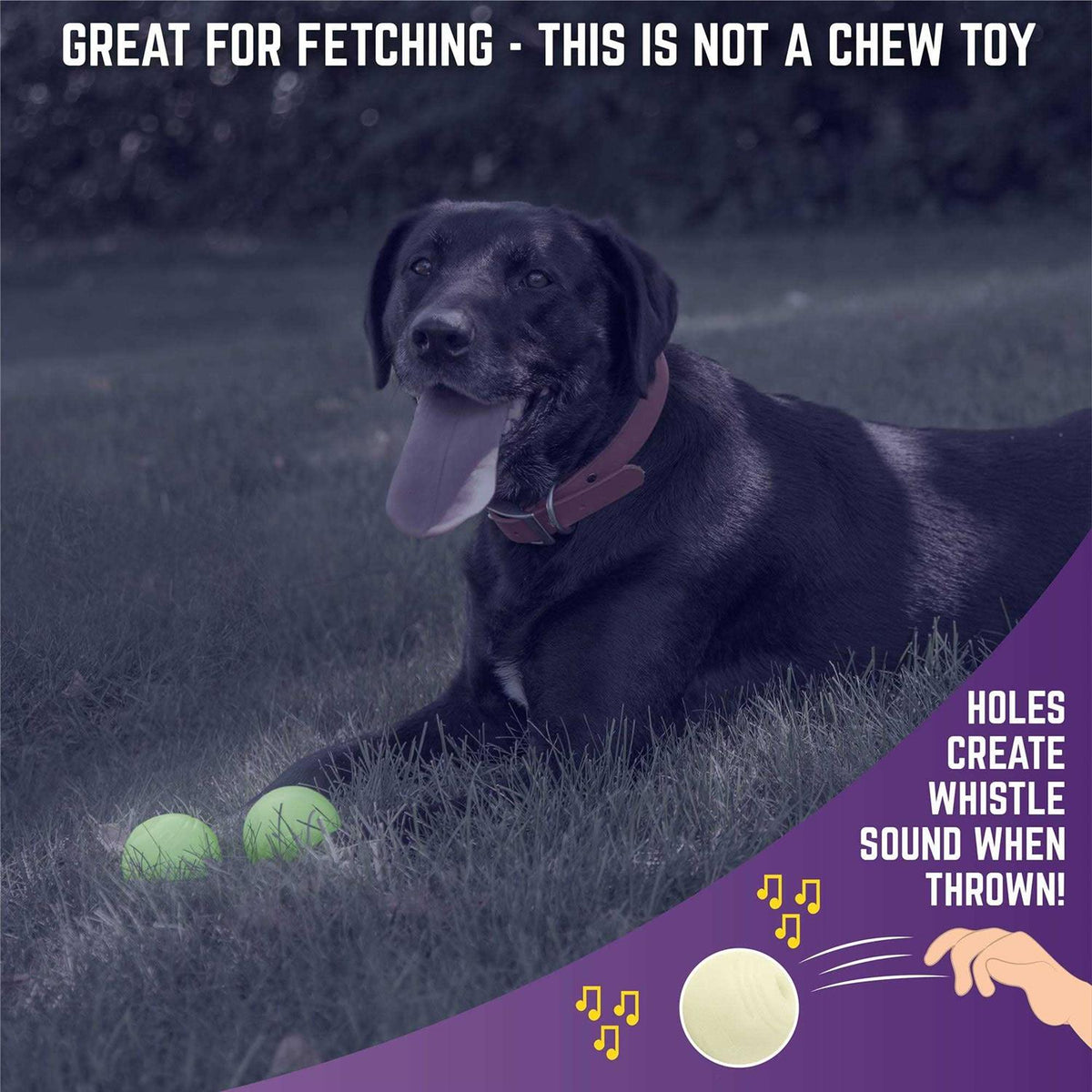 Glow Ball Dog Toys C80252