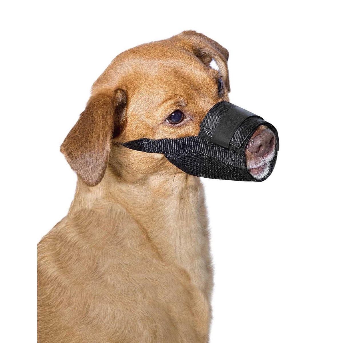 Dog Muzzle U8055