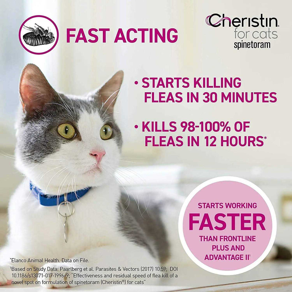 Flea Treatment for Cats F12968
