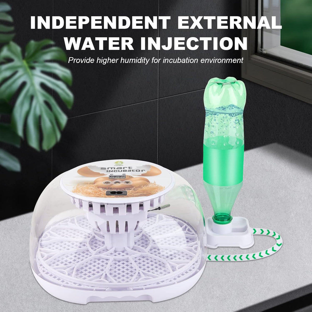 12-24 Egg Incubator with Automatic Egg Turner C580