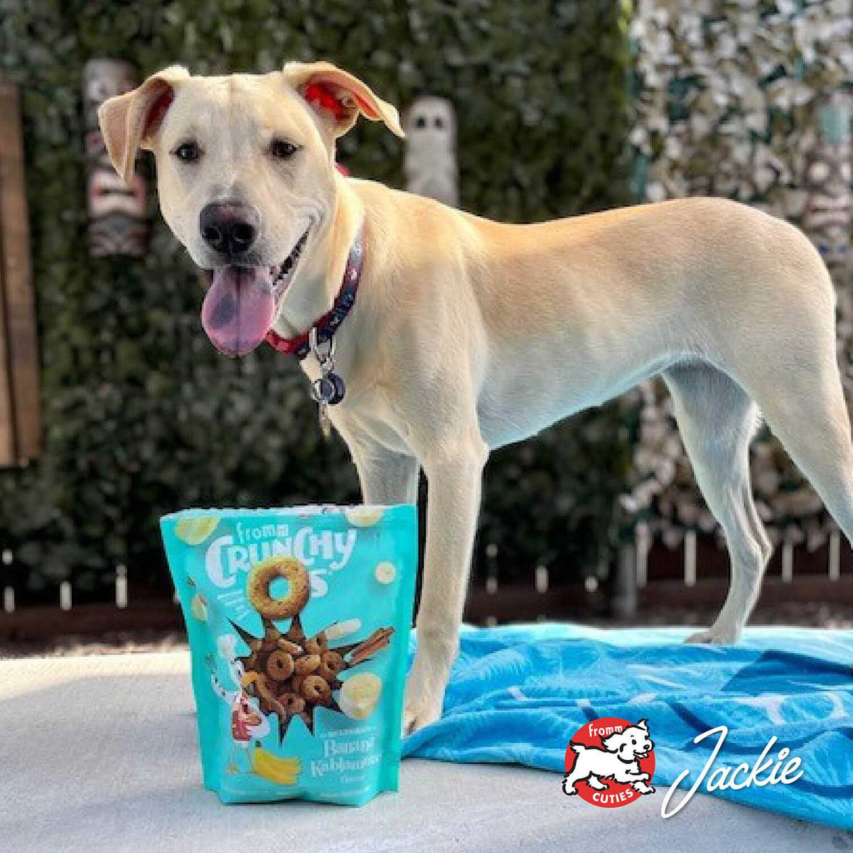 Crunchy O's Dog Treats M816919