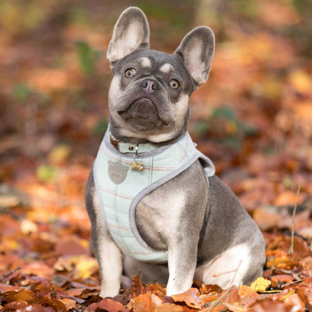 Tweed Dog Harness Vest D585