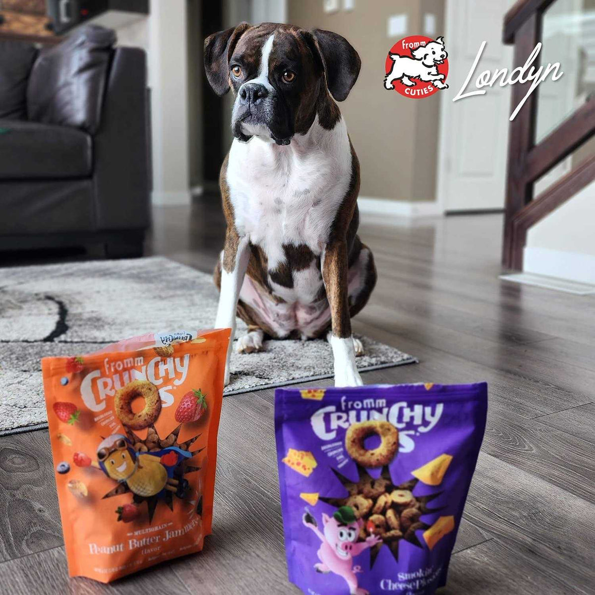 Crunchy O's Dog Treats M816919