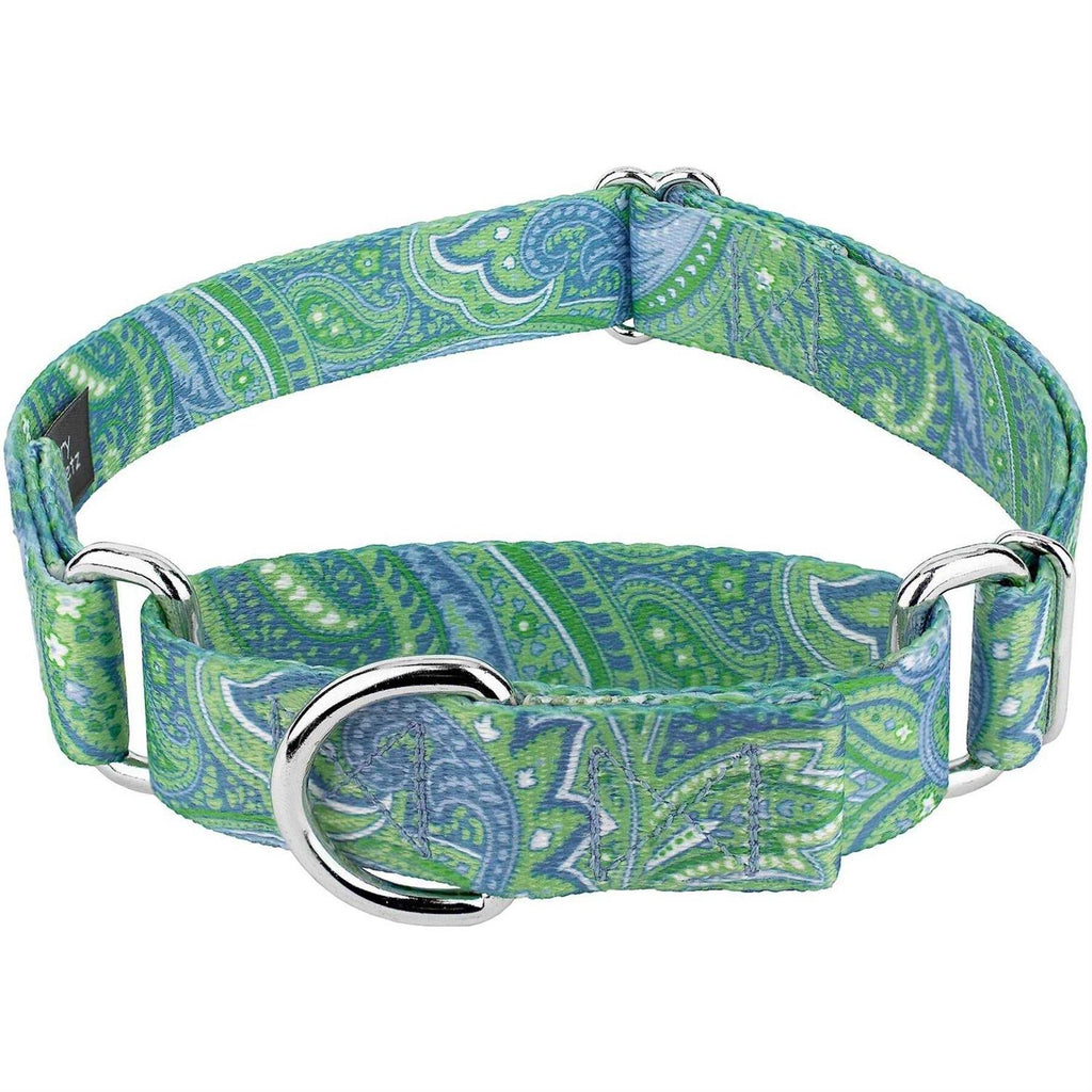 Martingale Dog Collar B28448