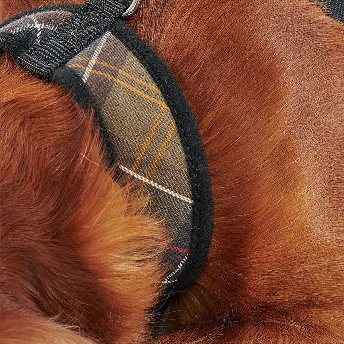 Tartan Dog Harness K3034