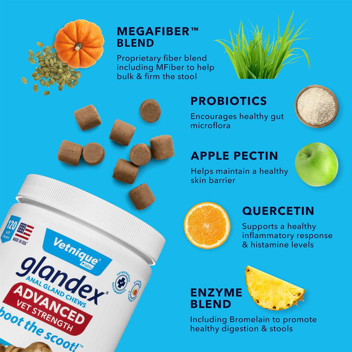 Anal Gland Soft Chews for Dogs B2268