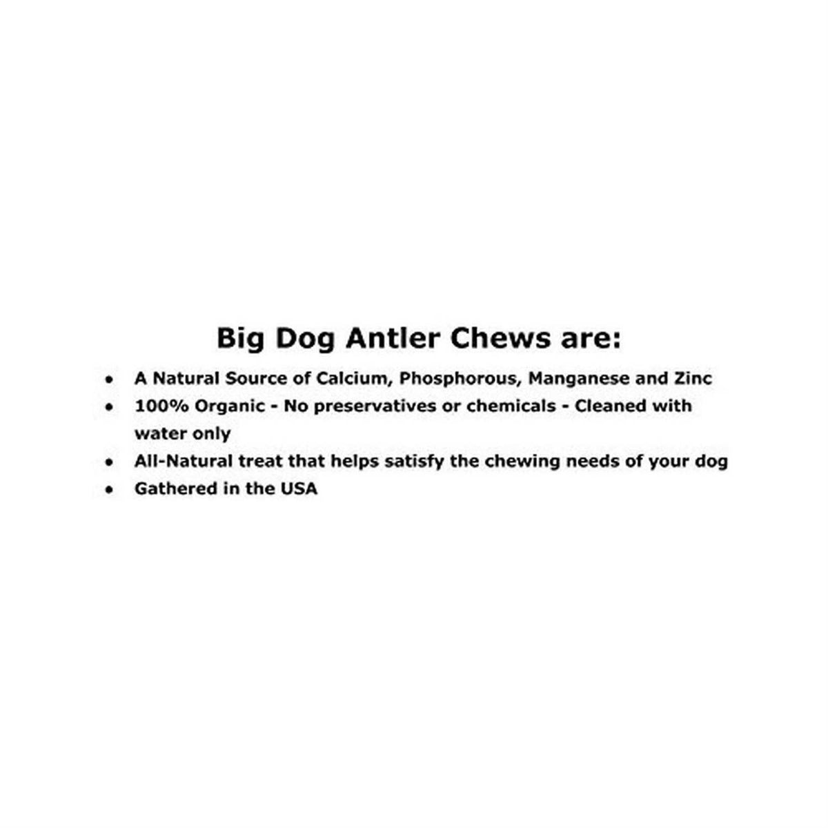 Whitetail Deer Antler Dog Chew Medium 8 to 13 Inches I784361