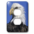 Bald Eagle 2 Plug Outlet Cover D163