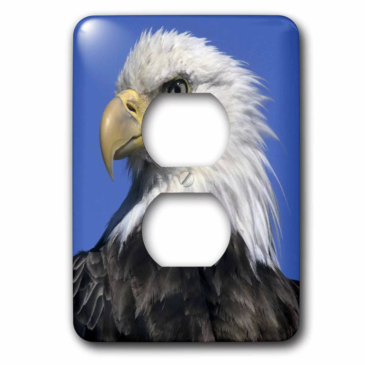 Bald Eagle 2 Plug Outlet Cover D163