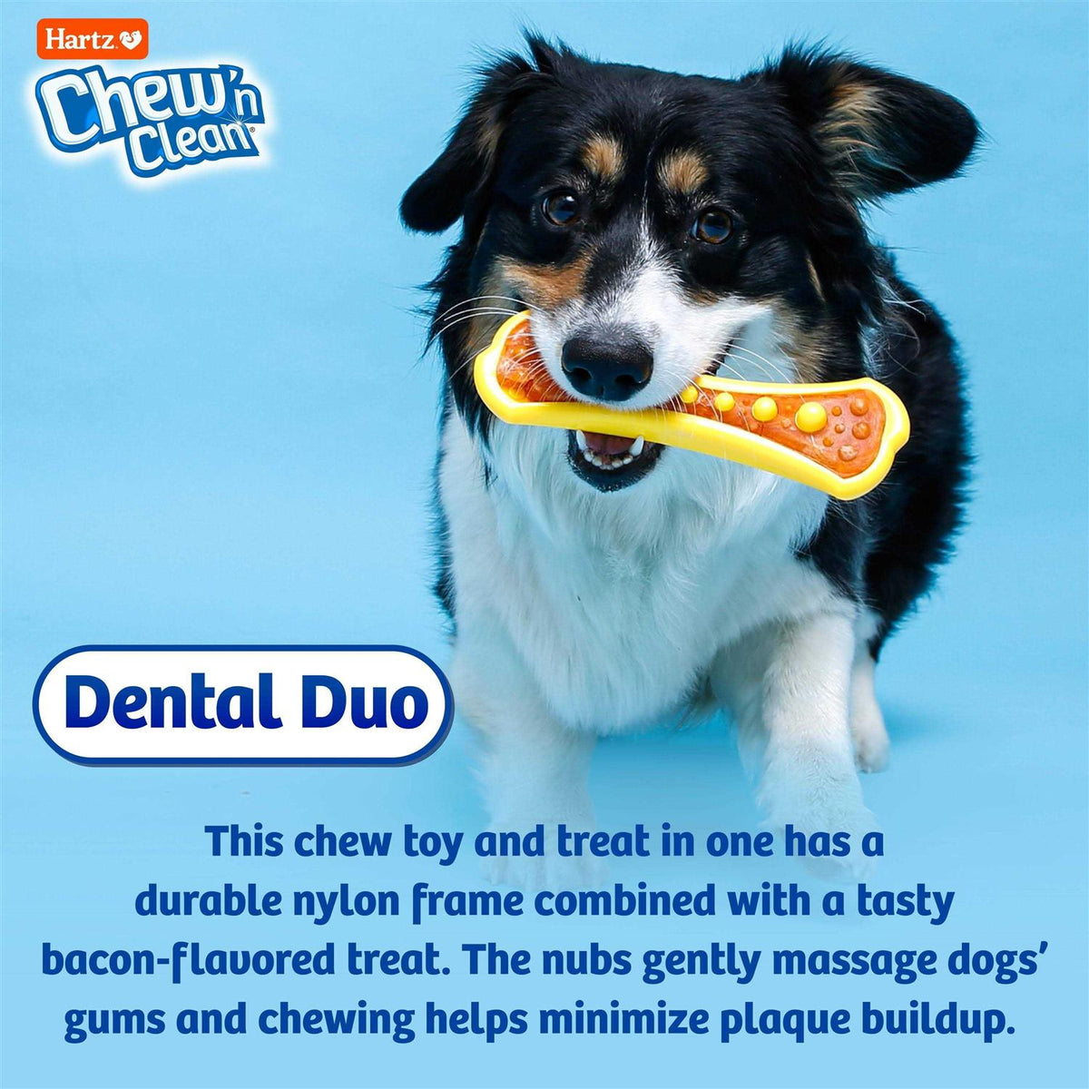 Chew 'n Clean Dental Duo Dog Toy Q7424