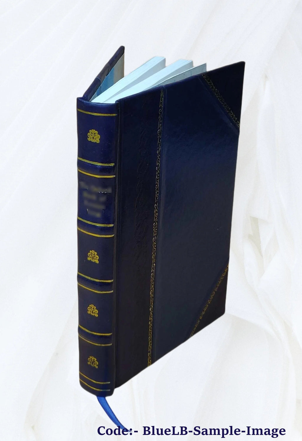 Germany, the next republic? By Carl W. Ackerman. 1917 [Leather Bound] Q97953
