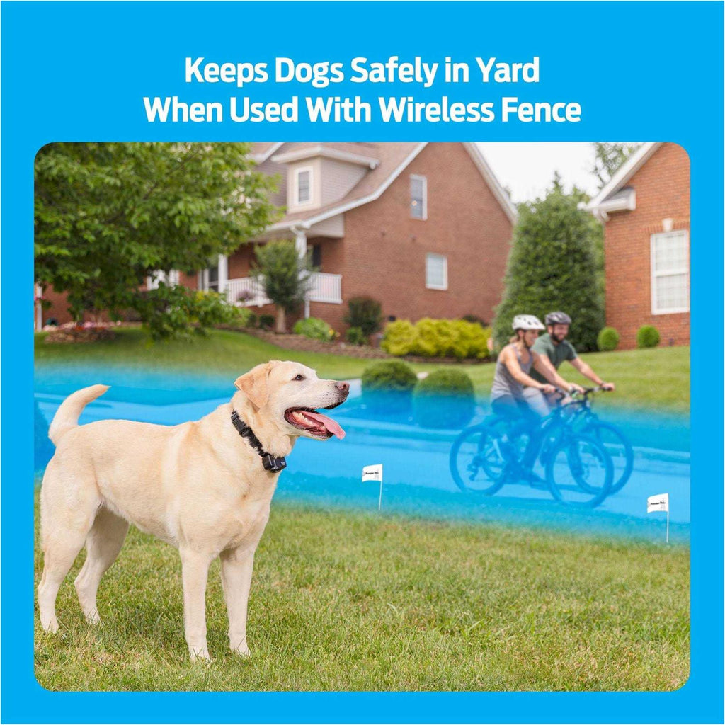 Wireless Add-A-Dog Collar Q9202