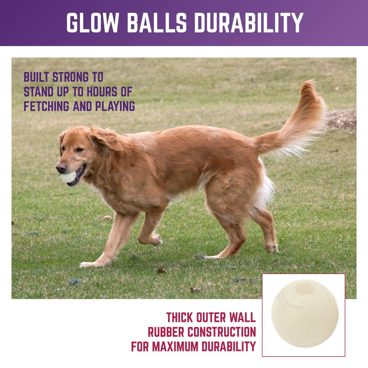 Glow Ball Dog Toys C80252