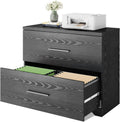 Gray Oak 2 Drawer Wood Lateral File Cabinet S784032
