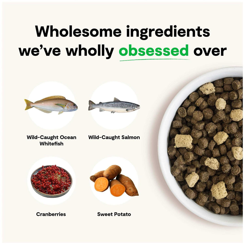 Grain-Free Dog Food B120