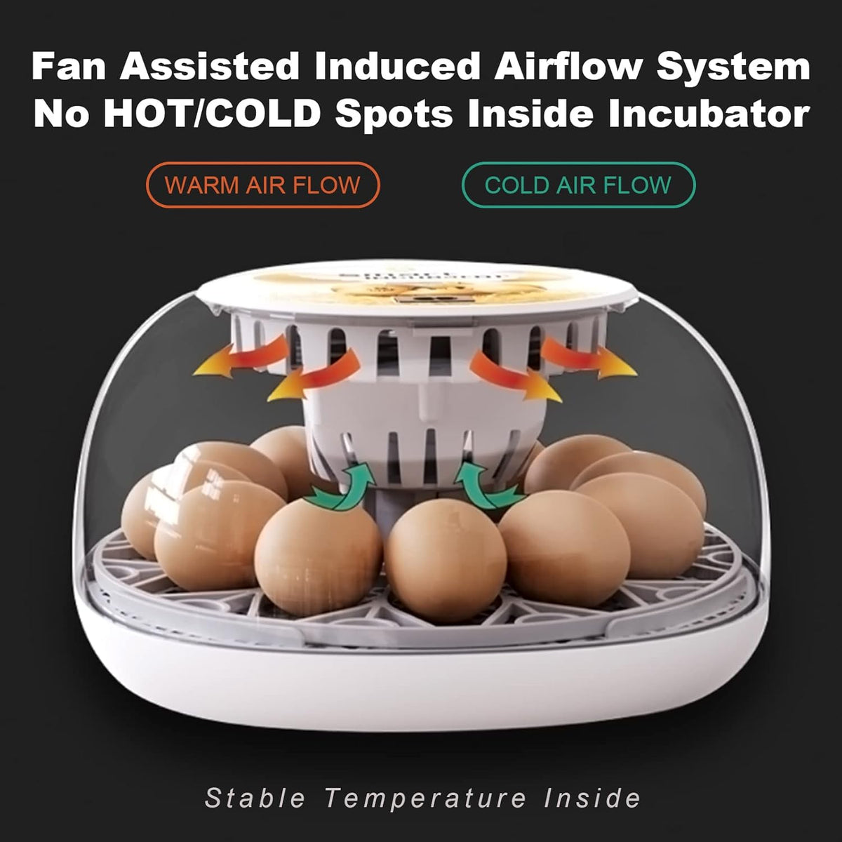 12-24 Egg Incubator with Automatic Egg Turner C580