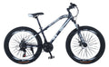 26 Inch Steel Mountain Bike P82253