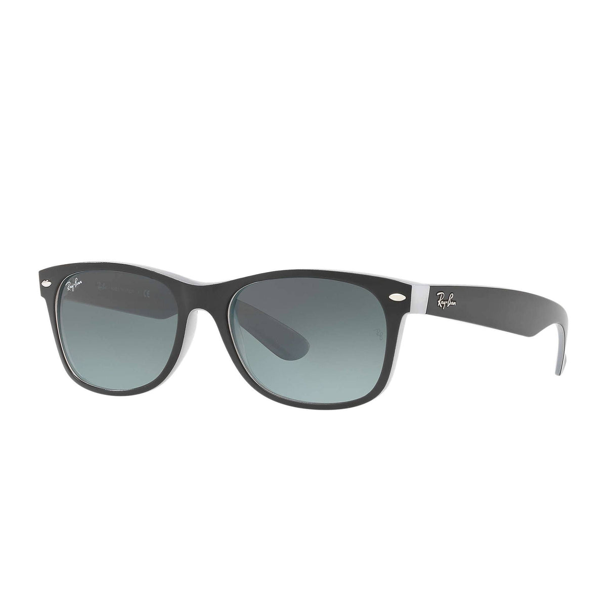 Matte Black Sunglasses C99729