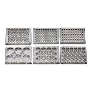 12 Well Tissue Culture Plate with Lid, Sterile G464713
