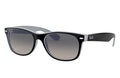 Matte Black Sunglasses C99729